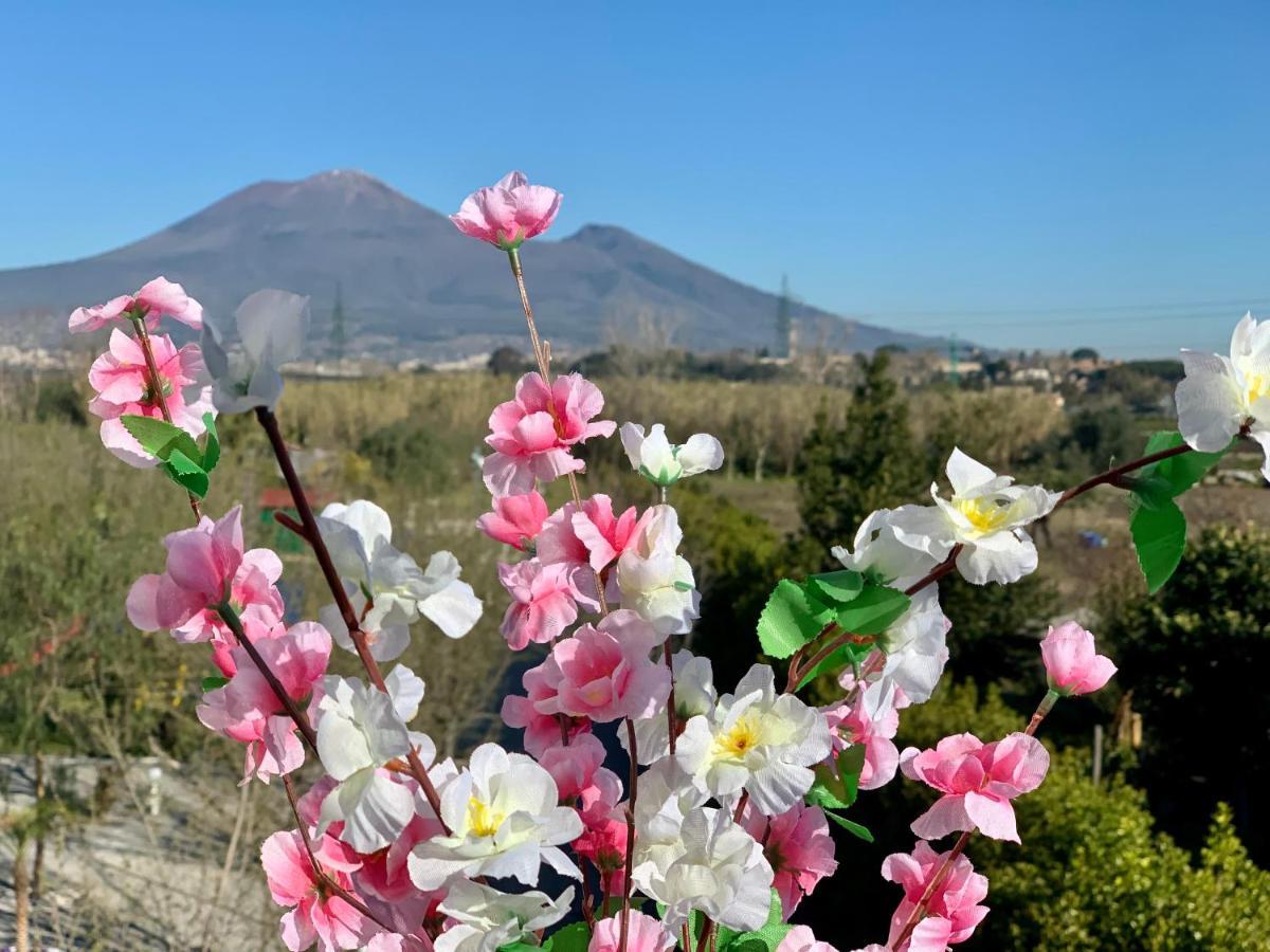 Villa Valentino Pompeji Exterior foto